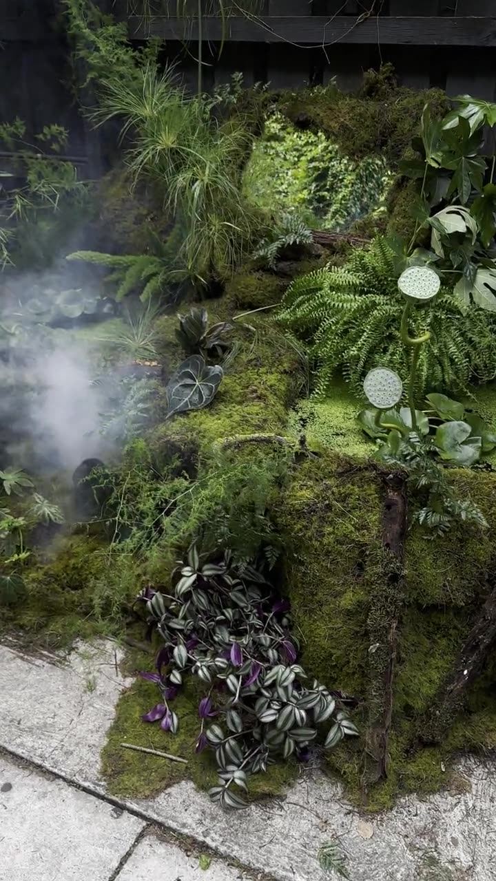 Alkymi moss and fern installation, brand activation, Melbourne