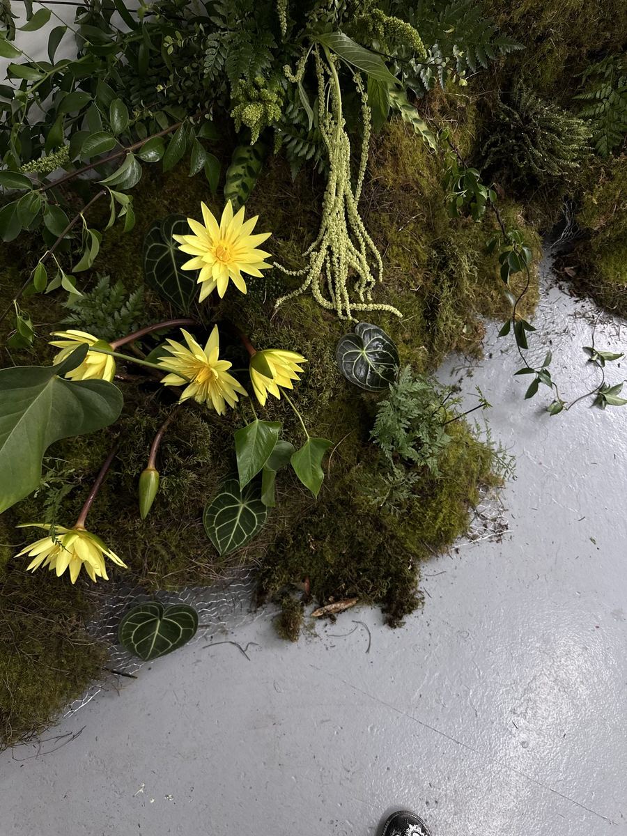 Moss exhibition floral and botanical installation, Melbourne