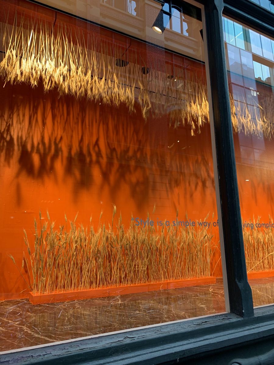 Masons × Satorial window display with wheat installation, Melbourne